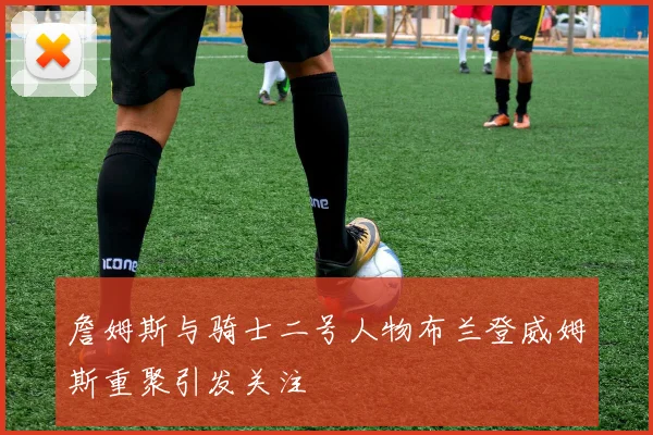 詹姆斯与骑士二号人物布兰登威姆斯重聚引发关注