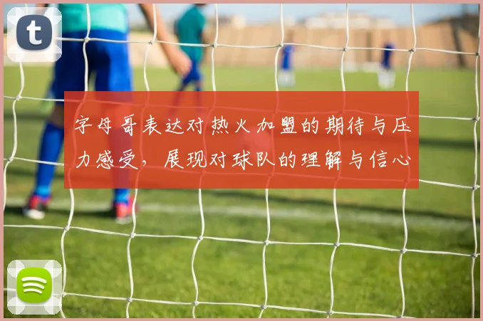 字母哥表达对热火加盟的期待与压力感受，展现对球队的理解与信心